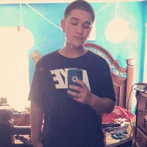 Meet your Posher, Harold